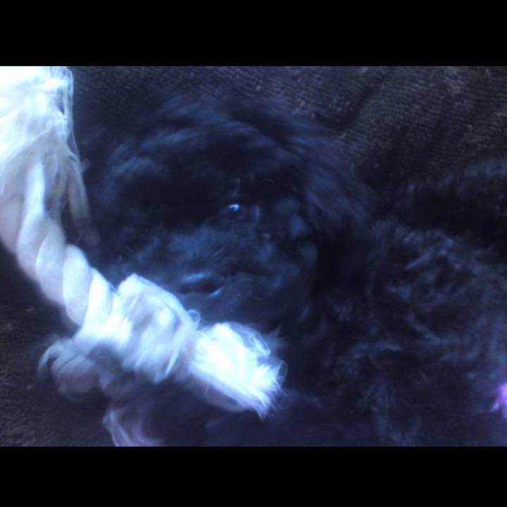 Be24446f e267 4ab6 bafd bd6d735dd9dc