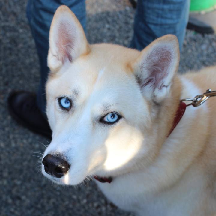 Be249fa2 654c 40b8 a762 f988707a0d8e