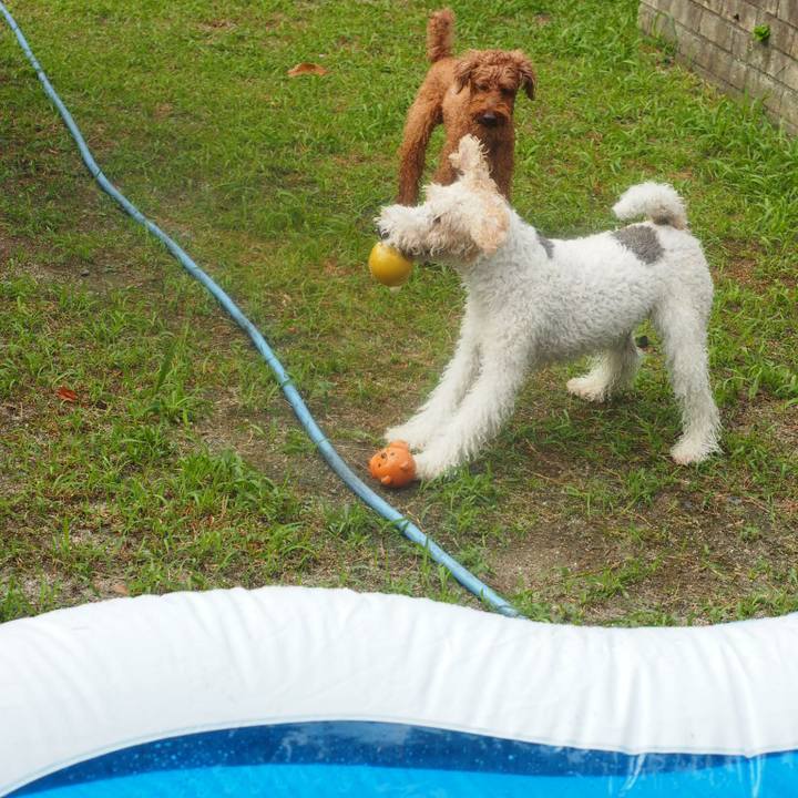 Be2519f4 315d 4d40 8af4 bc01a18e4fcf