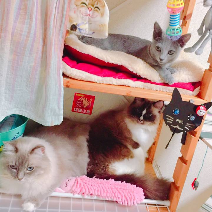 Be256f0d f2a4 4225 8e17 39ec53aedc1c