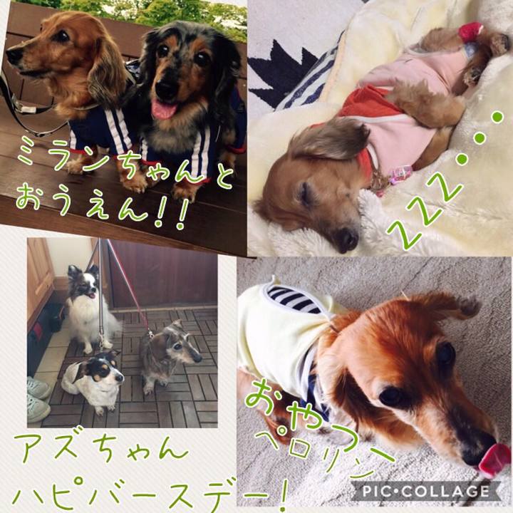 Be25905a dbc8 4624 85ea 4e5f4eb077c5