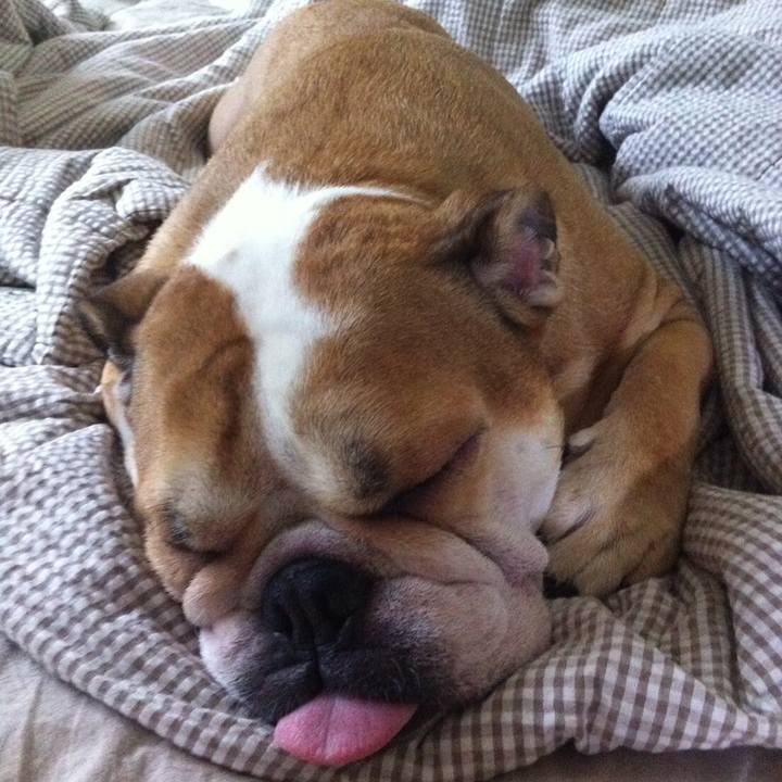 Be25fbc1 a348 4435 8aca bdec2ec9c109