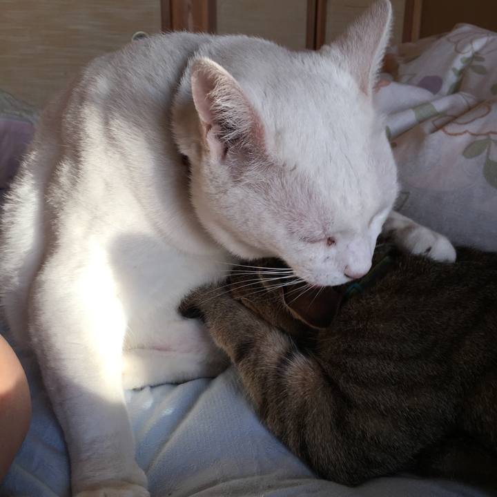 Be263bb4 9745 4d60 b76f 4aeec93f657b