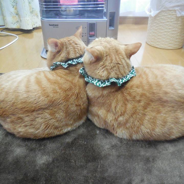 Be26bbbf 3cba 4655 a6e7 667a710e456c