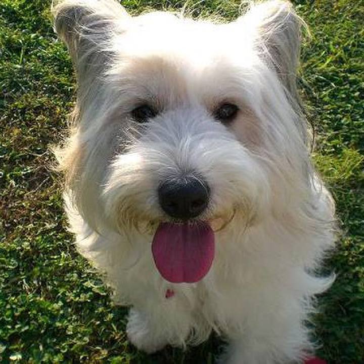 Be26e4b2 95cd 46b4 9133 d66c9ccc560f