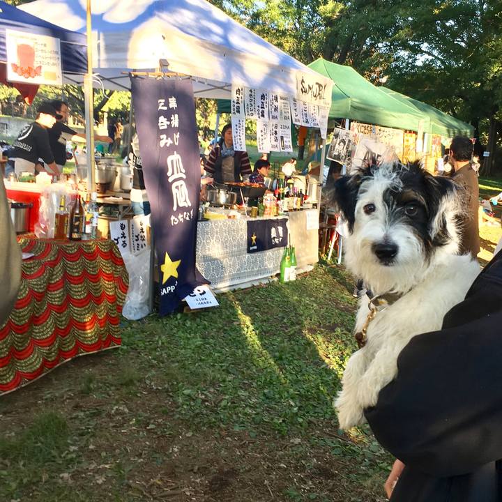 Be271c4d a2da 4561 a2a5 4a27b895fb5b