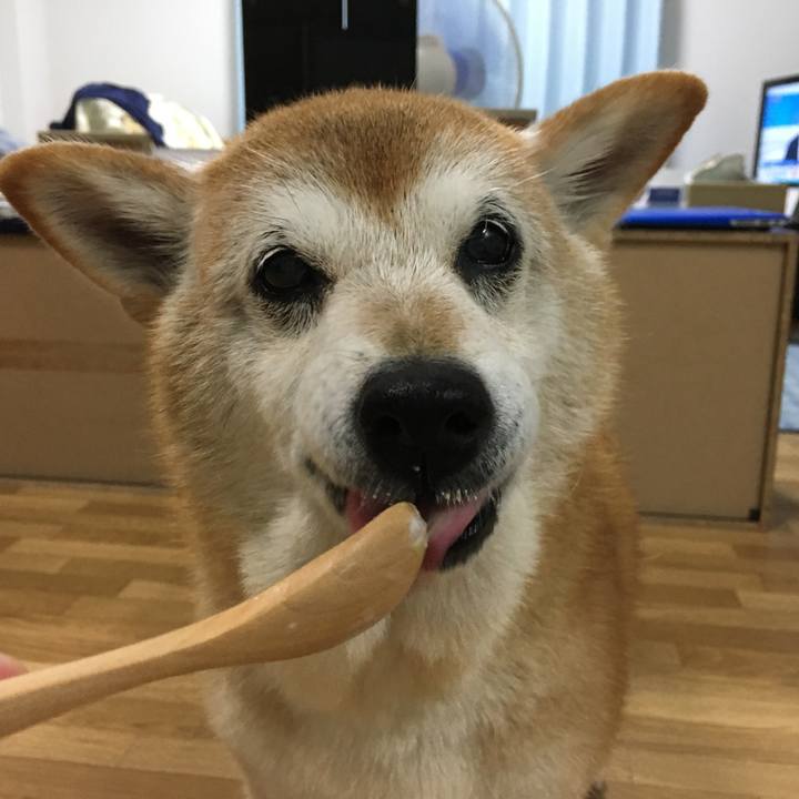 Be271fbe 9685 4281 8d40 6165772e3ef1