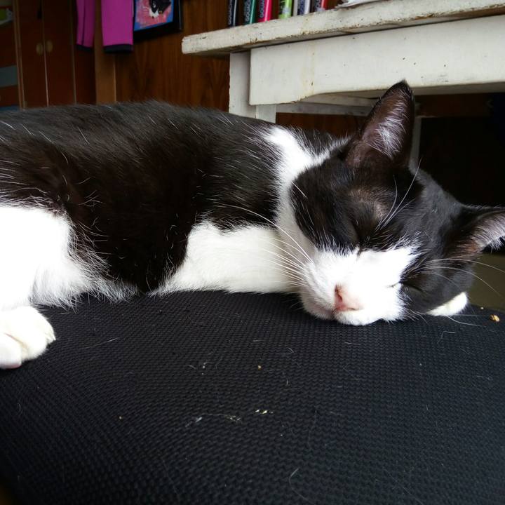 Be27a7c3 586c 4d05 a3d1 f2ef0fdc79d9