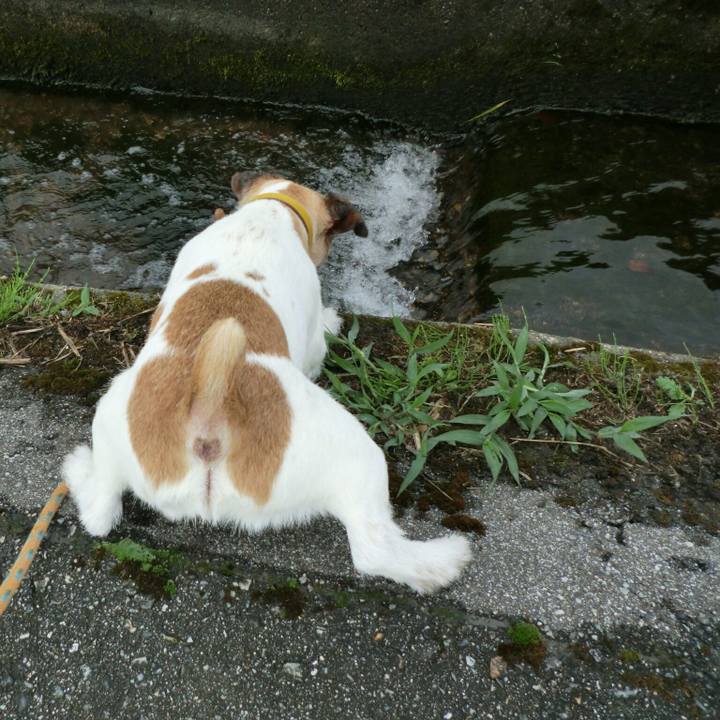 Be27e38a c2ce 4d0b 9c85 ca4cec26f10d