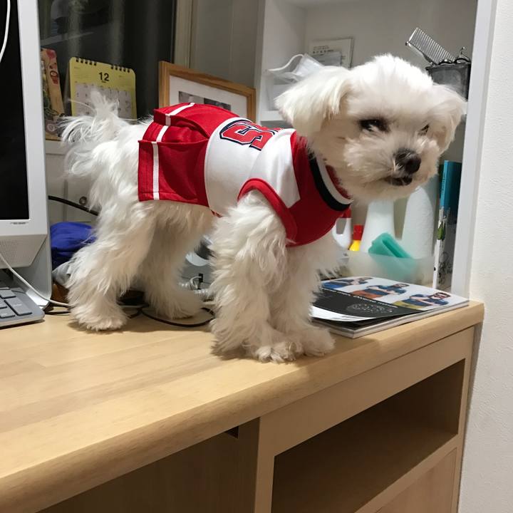 Be2812b7 25b2 4cbe a473 20241b1a13c8