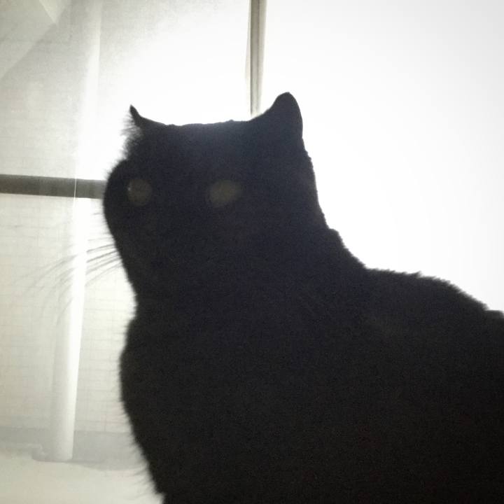 Be28e462 9007 4487 9a4d 69dbc7d1d2d7