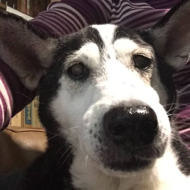 Be2936e9 e01c 4af1 843a ca475fded250