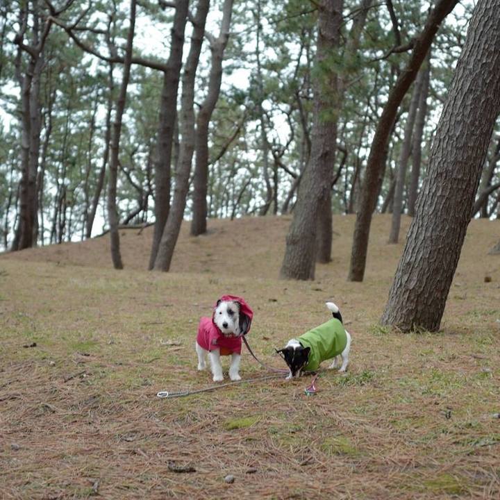 Be29952c ce9b 462e a1cb daa2c19f2ad8