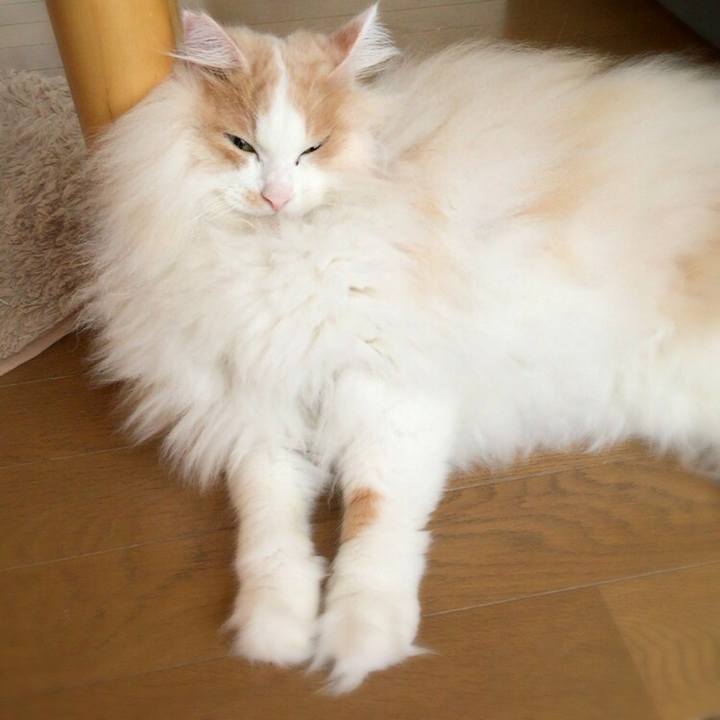 Be29bc92 1ef4 4106 b7b7 c886631e8b43