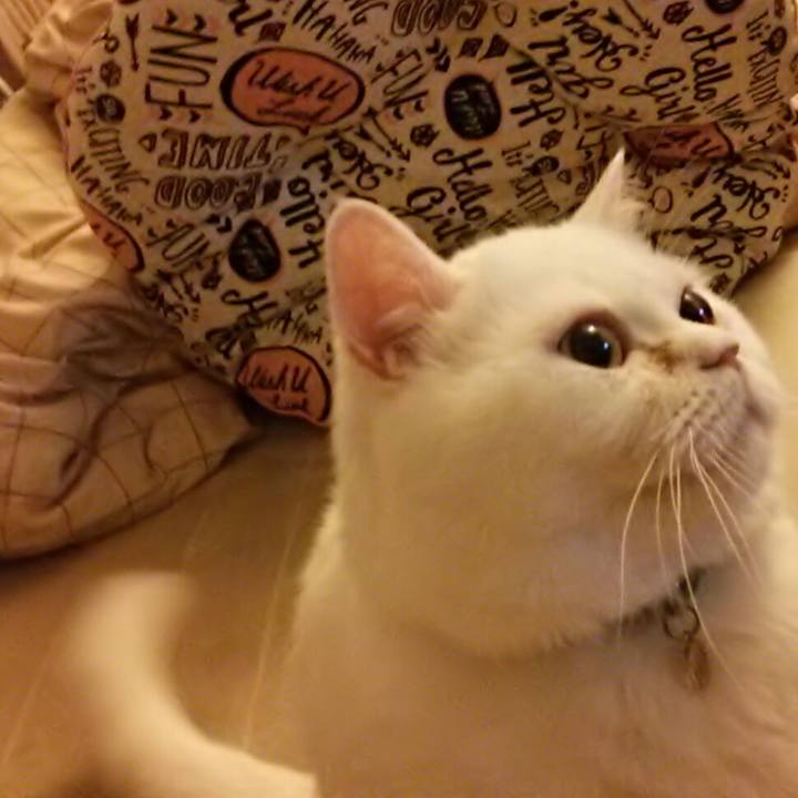 Be2afa0a 9c7f 4980 98e6 e501408e5970