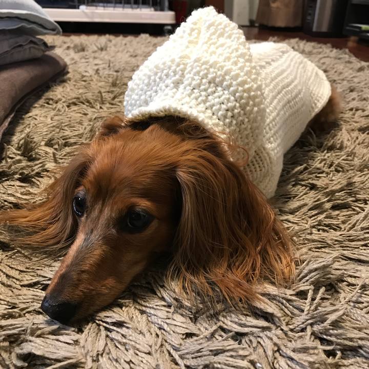 Be2b422d c931 4e6a aec6 76eccafa10cf