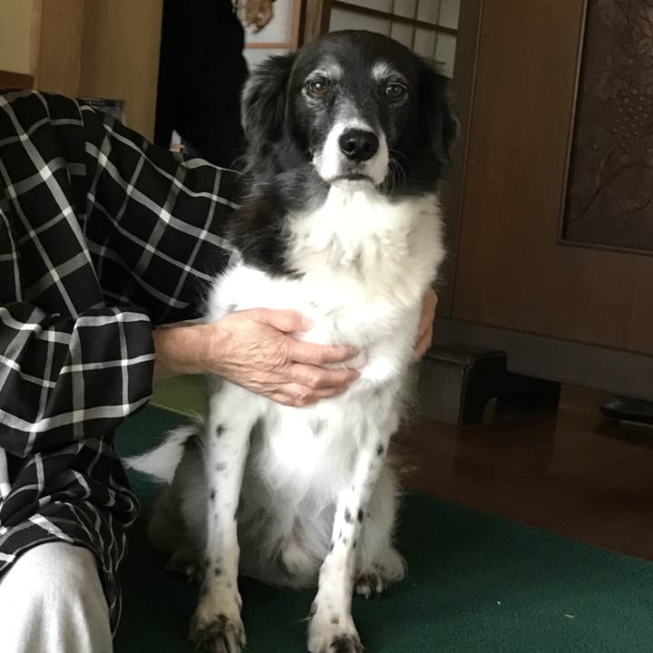 Be2b58a1 1e83 495f bae7 12ce30d80a6b