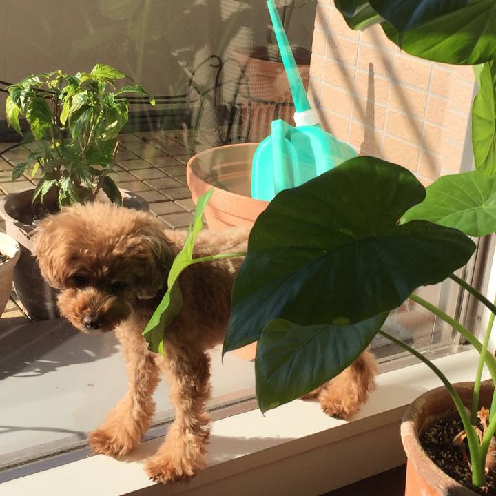 Be2bc332 9eae 4154 884d adc8d9470a32