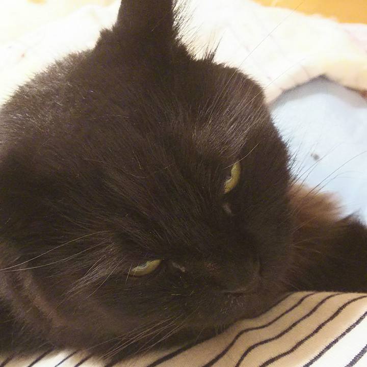 Be2beeba f4df 4a87 9010 c34cf84e61df