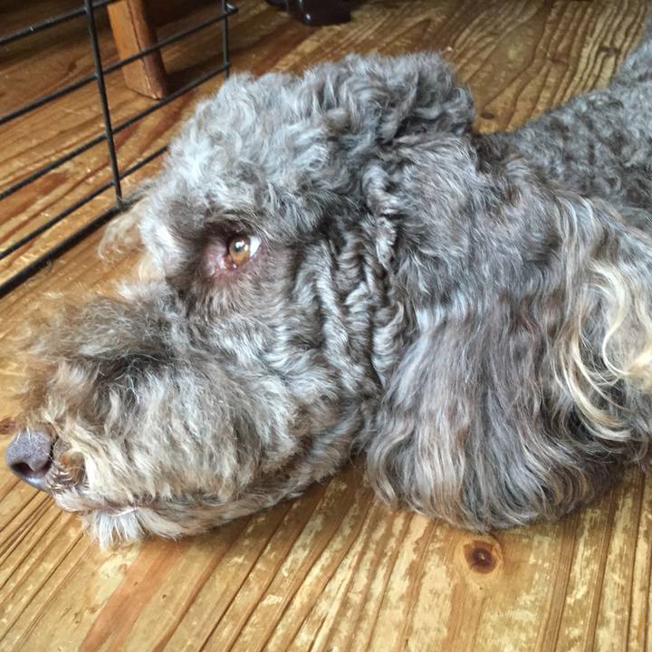 Be2c1a53 3148 4575 923f 95a5a244b401