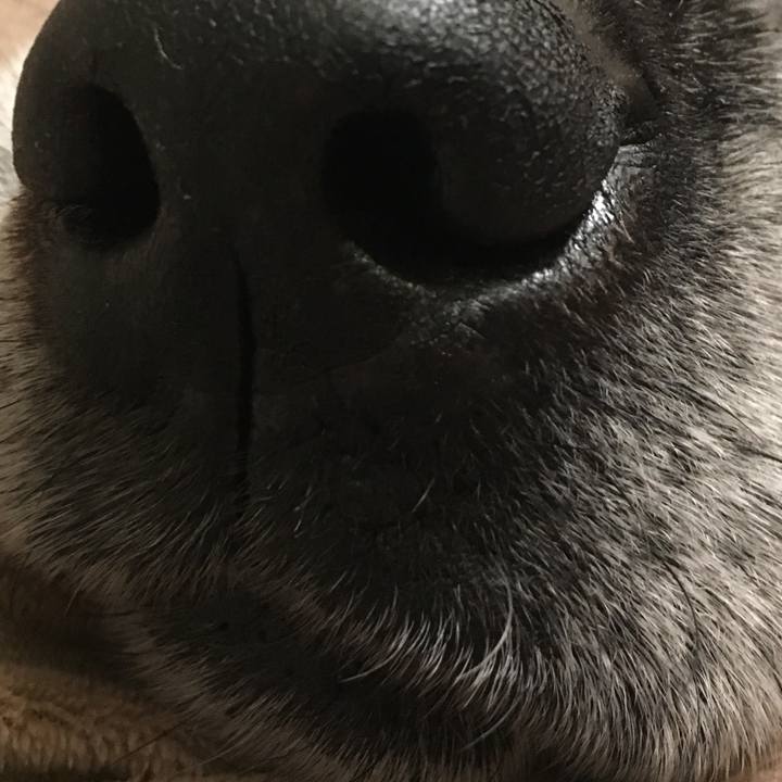 Be2c327e 8a4b 4545 a04e ff9eb20bfe79