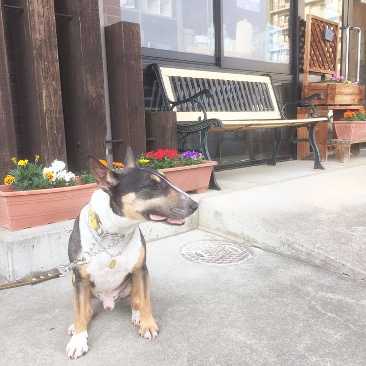 Be2c816f 2eda 4cf6 9769 3ac8f79aebb5