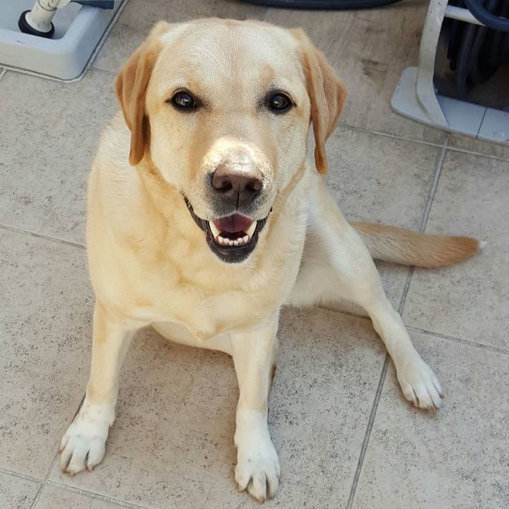 Be2c8869 96ca 4df7 bd37 628bb7434fbf