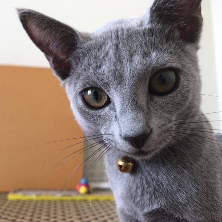 Be2d72ff 92b7 4762 a939 642cd2738a87