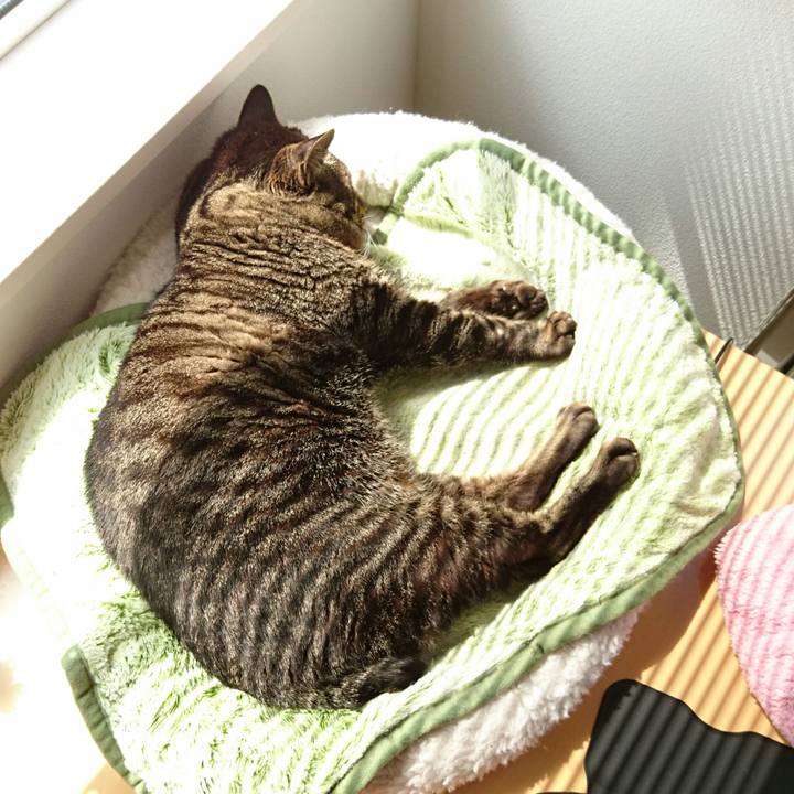 Be2d8c1b 7f2c 4b82 b18e 78686fbdb433