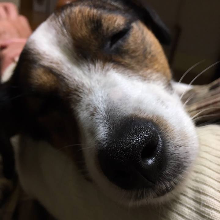 Be2e3cc7 ede4 4b82 b6b3 863651cf12e7