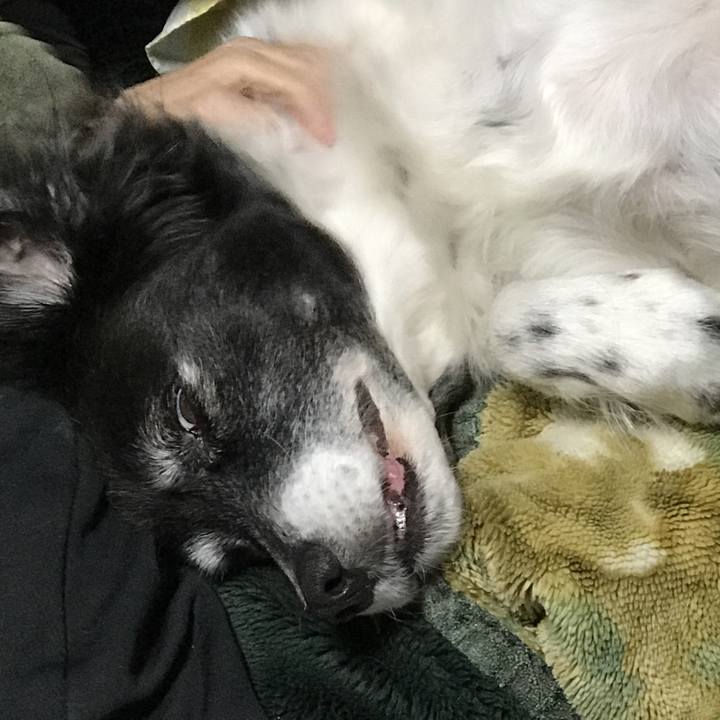 Be2e5427 8e79 419a 87c4 e7b3c8a95ea1