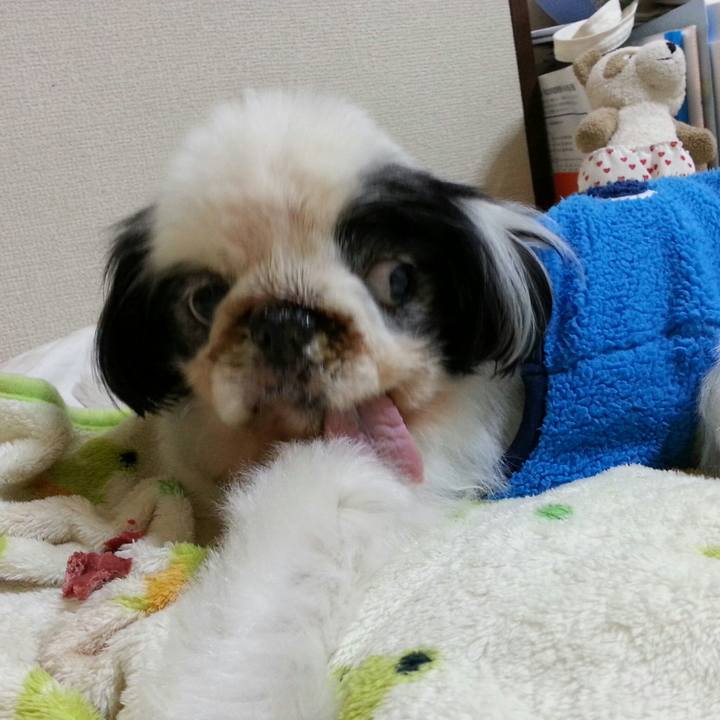 Be2e5900 413f 4b43 8f95 b0d70b7ea0fa