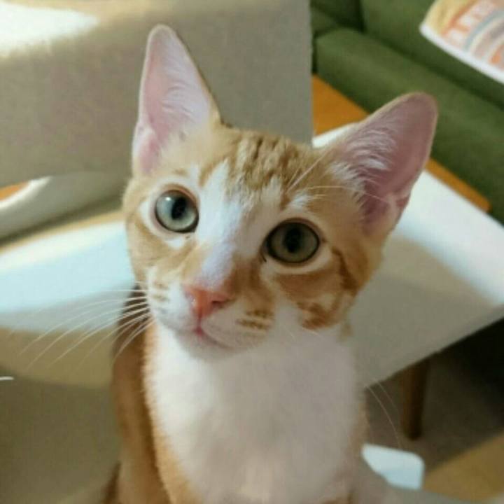 Be2ed4a8 4a2f 436e afd4 70124902bfbb