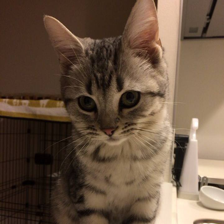 Be2f87ab 4df8 4ac2 a296 8d2cc8f668ab