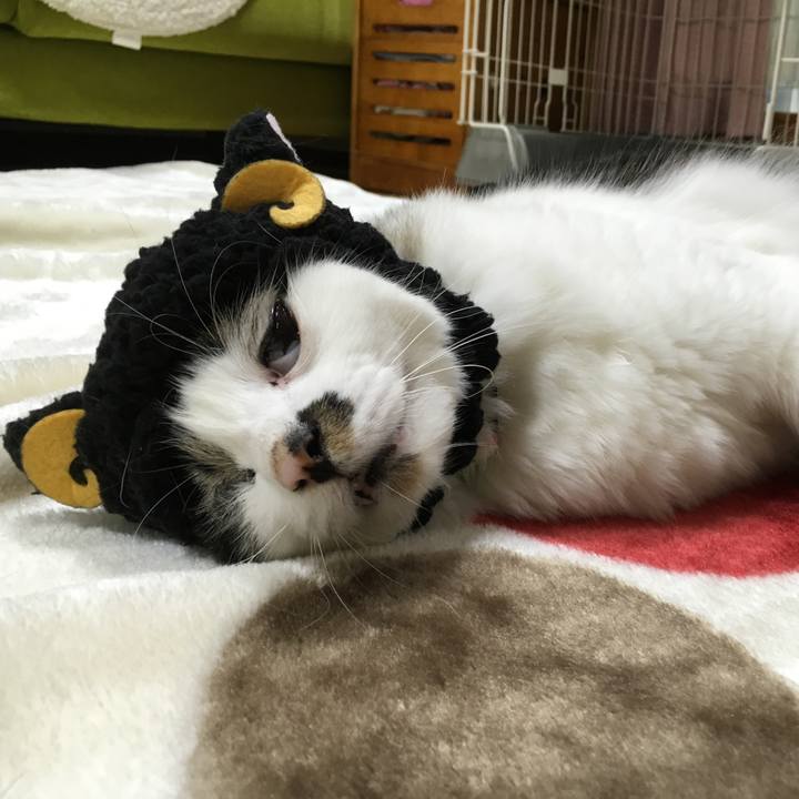 Be2fd347 277f 4568 b9e9 8b5350cd88ed