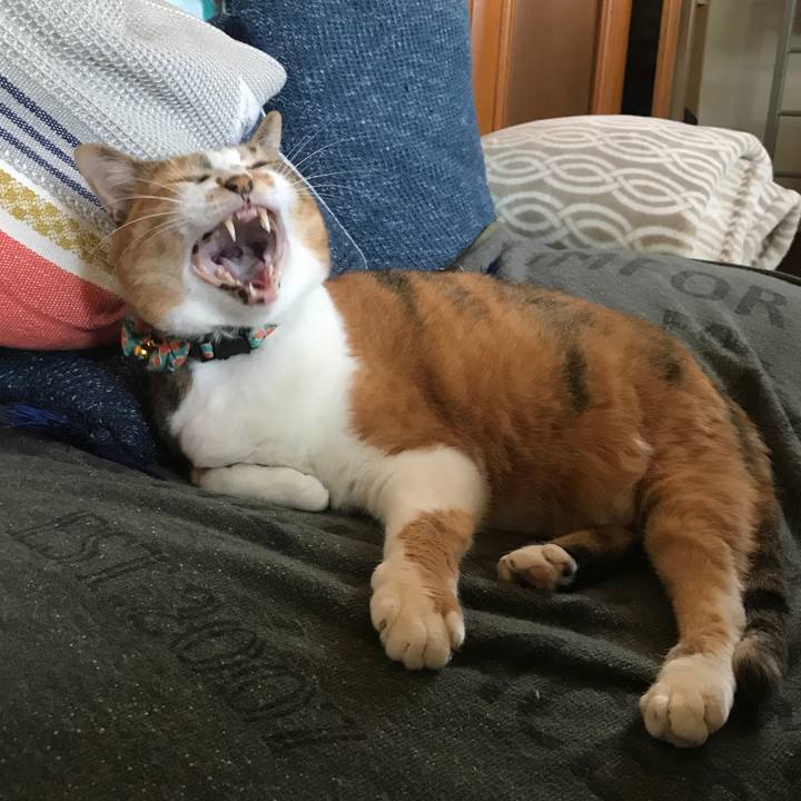 Be30e78a a68a 4921 bbb4 3aa8daedaca5