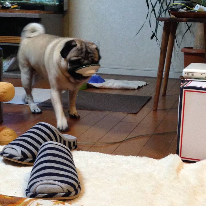 Be321f1f 956a 41d7 94ee a01f69af9067