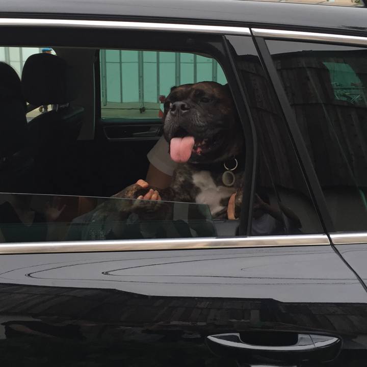 Be329eca 6867 45a6 932c f96dece5f257