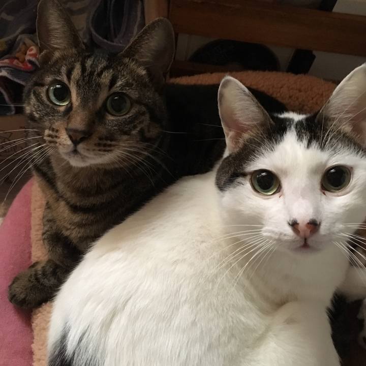 Be331f7e 306c 433d b55d 4035032767af