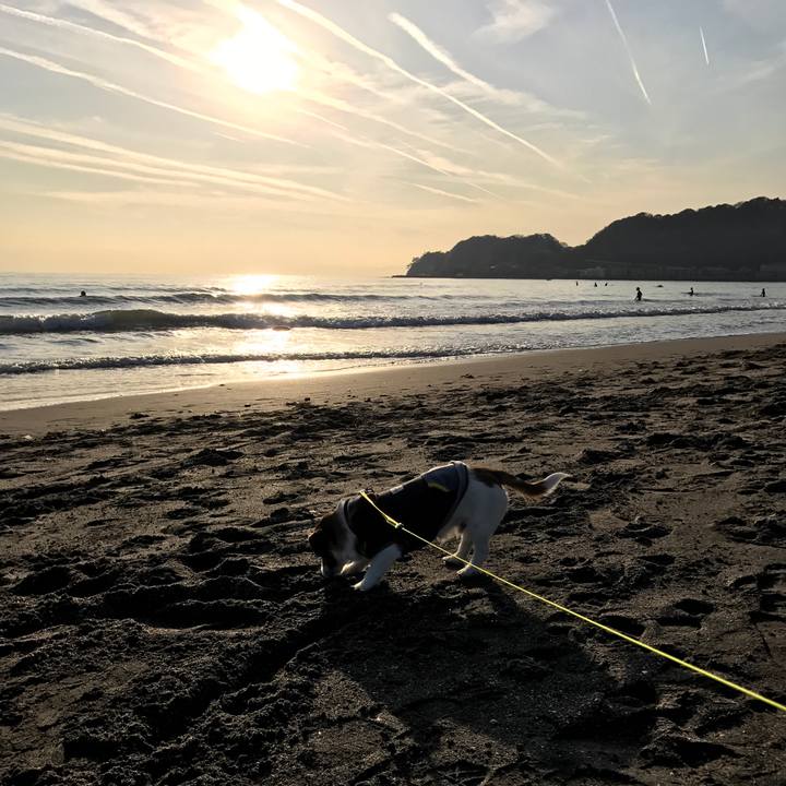 Be3320f8 1291 410f 96ed a5021d438c4d