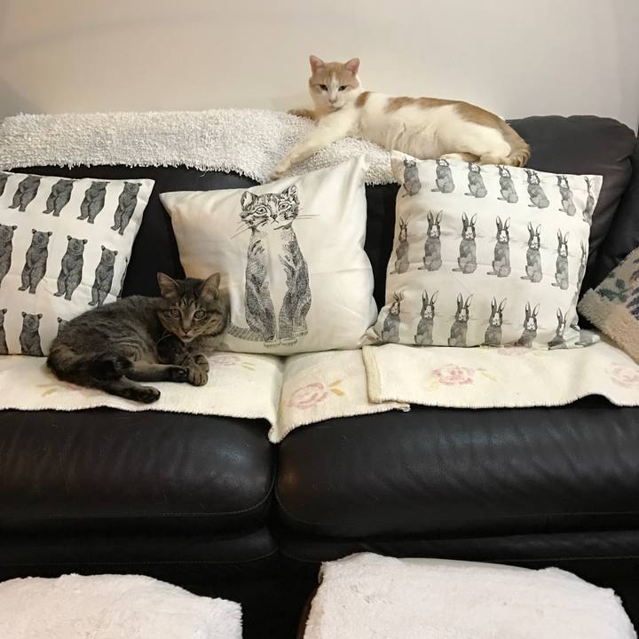 Be333c09 38b3 4962 88a3 2a0ce26d9189