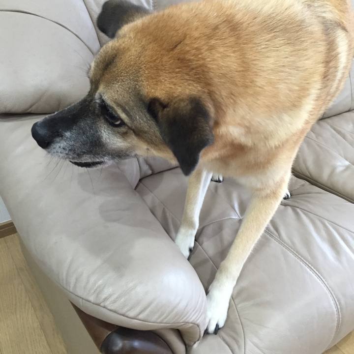 Be33de17 206a 499b 9b89 5ae077315174