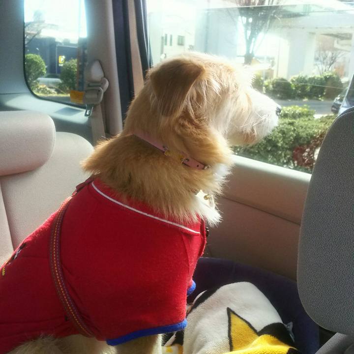 Be3420e1 867c 49fd b1d0 dcd1e72daa8f