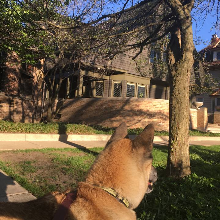 Be34a6df c24f 4ea8 bfb0 8f544dbc5e2e