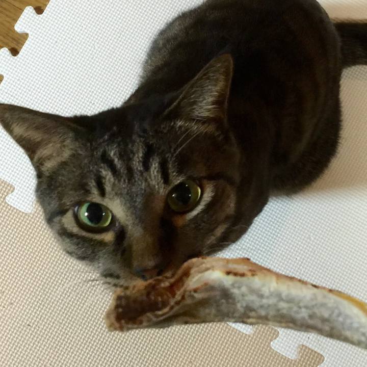 Be34e012 e51c 4671 8700 72c1ca524c9c