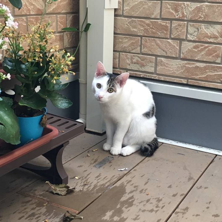 Be350066 c989 42cd b554 081535dfc5ec