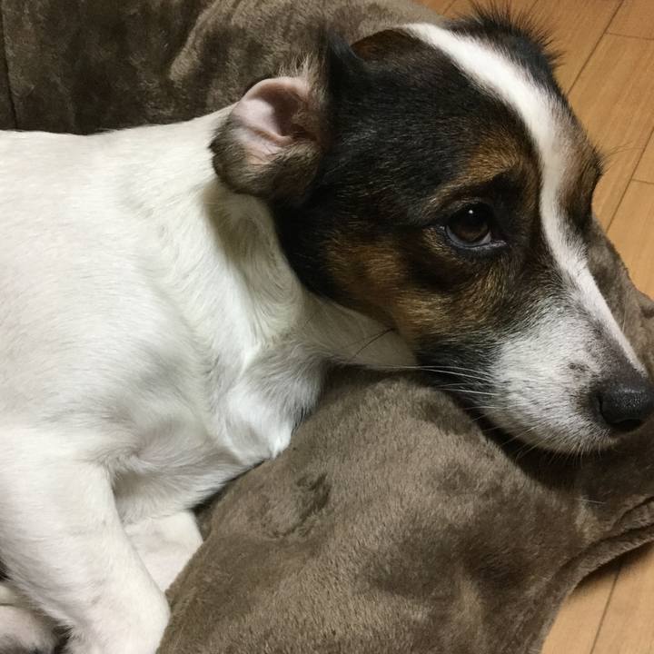 Be353afe a231 4e4e 82de eaf7f5d27cbb