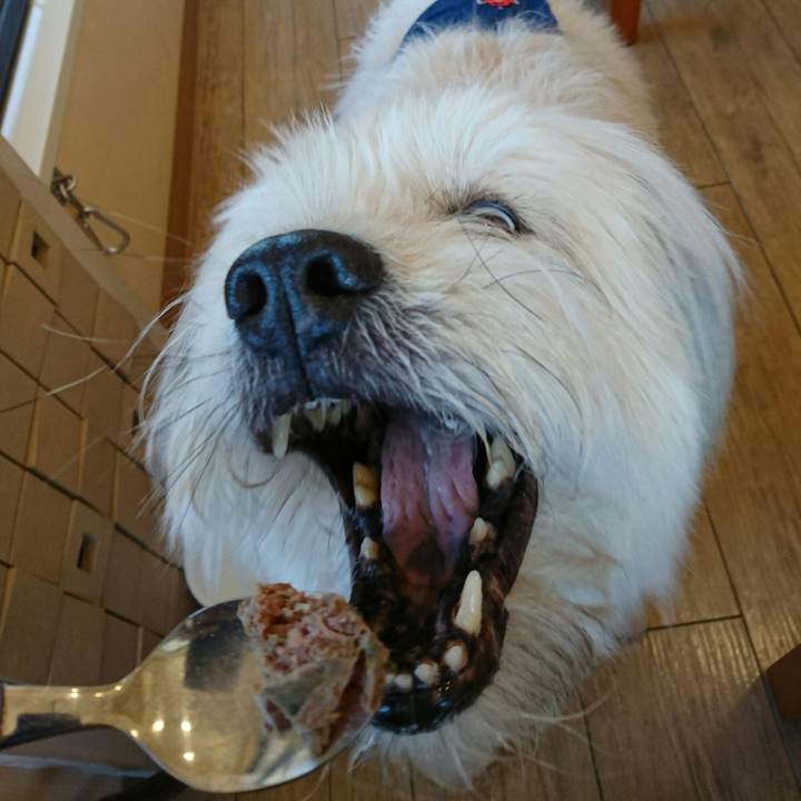 Be357a1c a66f 4af9 9bd1 4a10cb74f646