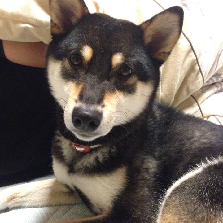 Be359766 cd8d 4da3 b32e 2c57dbcff109