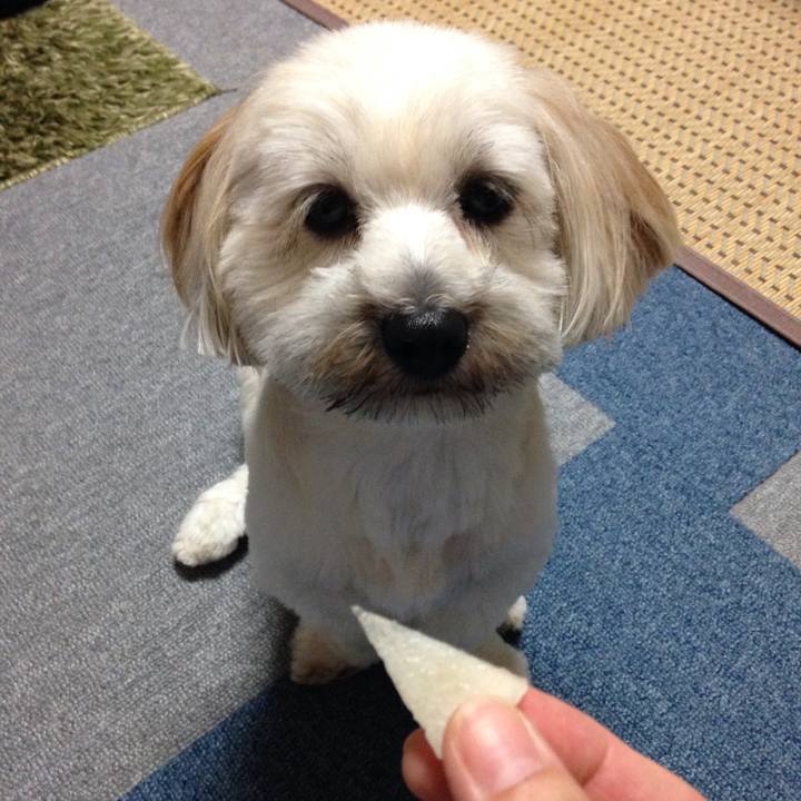 Be360b9d ccef 4f74 9288 3f31e937dcba